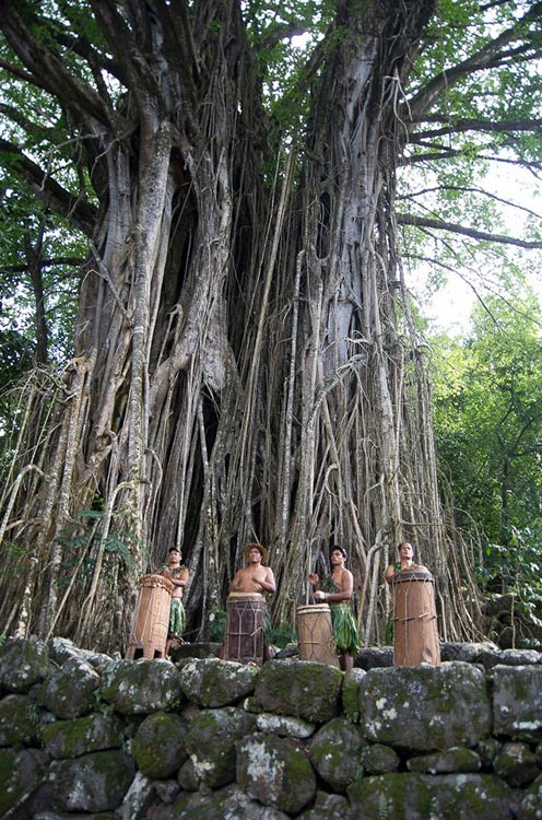 Banian sacré de Hatiheu, nuku Hiva. Photo Yan Peirsegaele