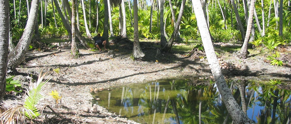 Bassin Vainatika, le trou des Mokorea de Makemo