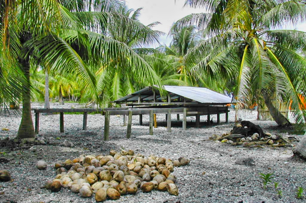 Séchoir à coprah du village de Maragai , atoll de Toau 2004 @ Tahiti Heritage